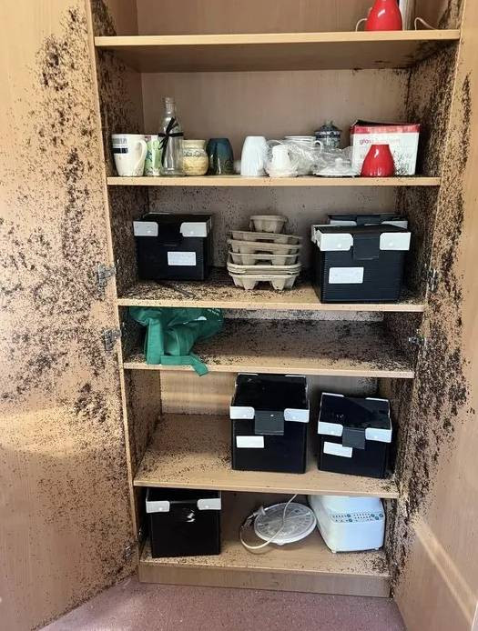 Kahve döküldü sandı. Yakından bakınca gerçek olduğuna inanamadı - Resim: 1