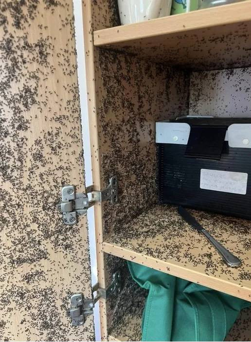 Kahve döküldü sandı. Yakından bakınca gerçek olduğuna inanamadı - Resim: 9