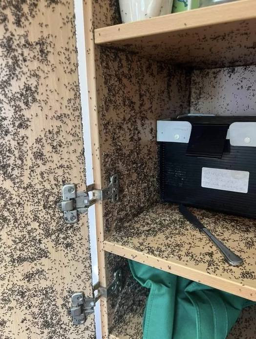 Kahve döküldü sandı. Yakından bakınca gerçek olduğuna inanamadı - Resim: 6