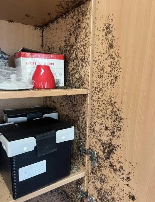 Kahve döküldü sandı. Yakından bakınca gerçek olduğuna inanamadı - Resim: 7