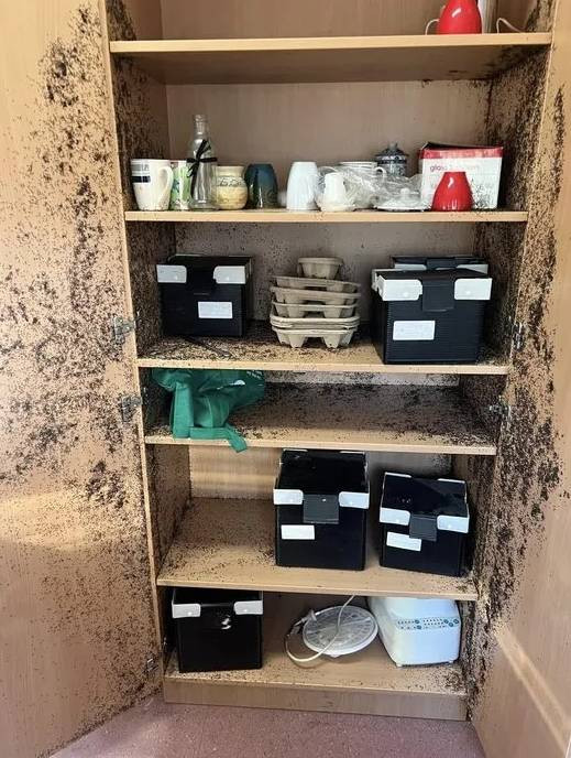 Kahve döküldü sandı. Yakından bakınca gerçek olduğuna inanamadı - Resim: 4