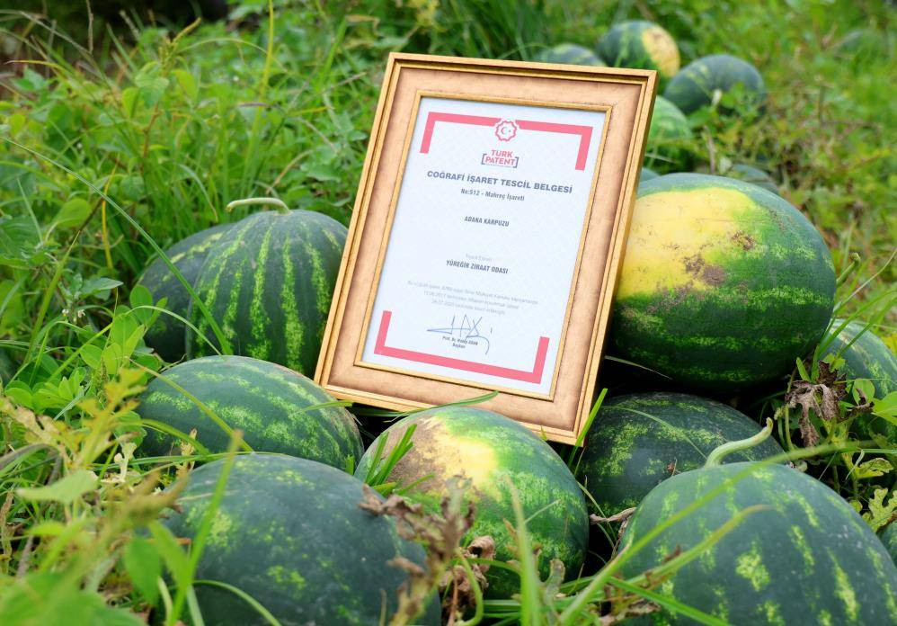İlk karpuzlar yola çıktı. Fiyatlar düşecek mi? - Resim: 12