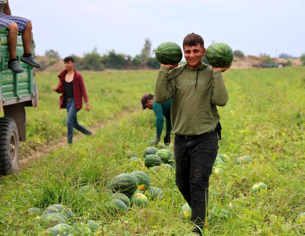 İlk karpuzlar yola çıktı. Fiyatlar düşecek mi? - Resim: 14