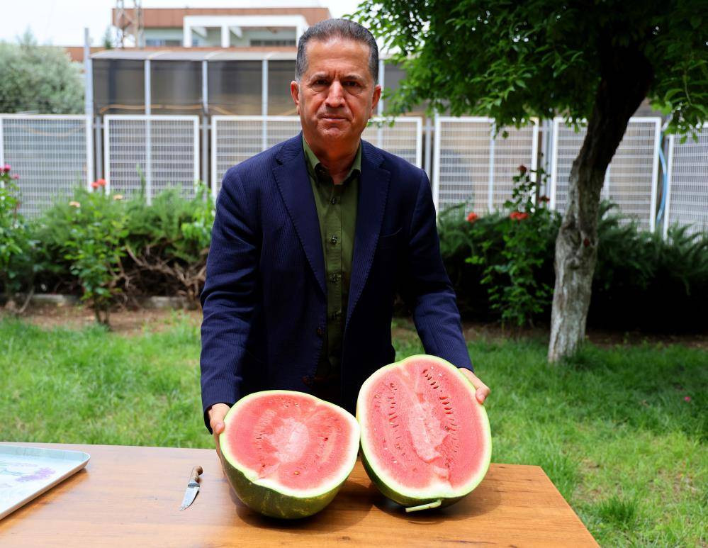 İlk karpuzlar yola çıktı. Fiyatlar düşecek mi? - Resim: 6