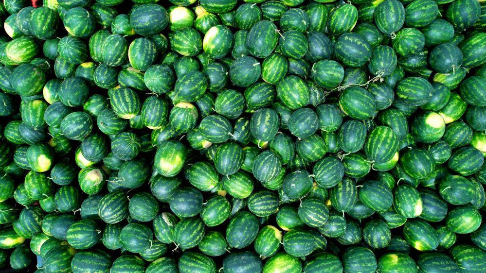 İlk karpuzlar yola çıktı. Fiyatlar düşecek mi? - Resim: 2