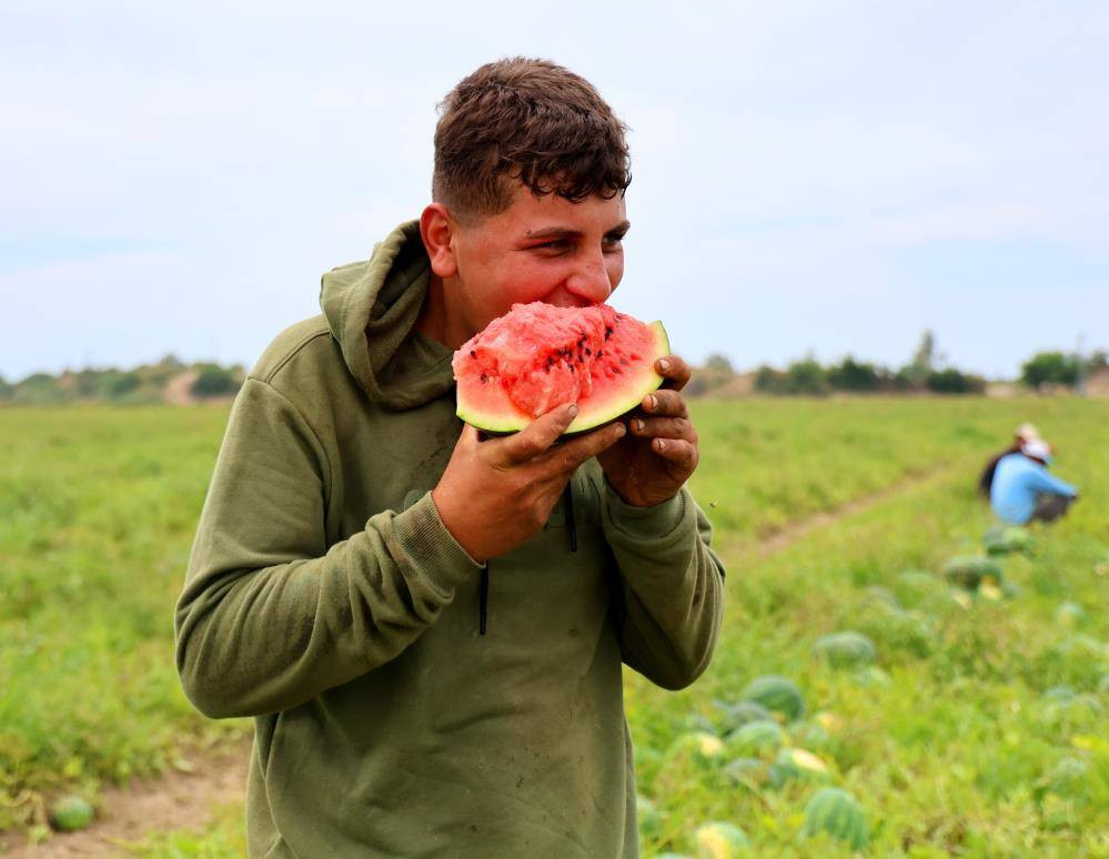 İlk karpuzlar yola çıktı. Fiyatlar düşecek mi? - Resim: 4