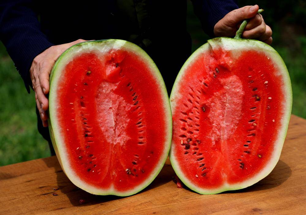 İlk karpuzlar yola çıktı. Fiyatlar düşecek mi? - Resim: 5