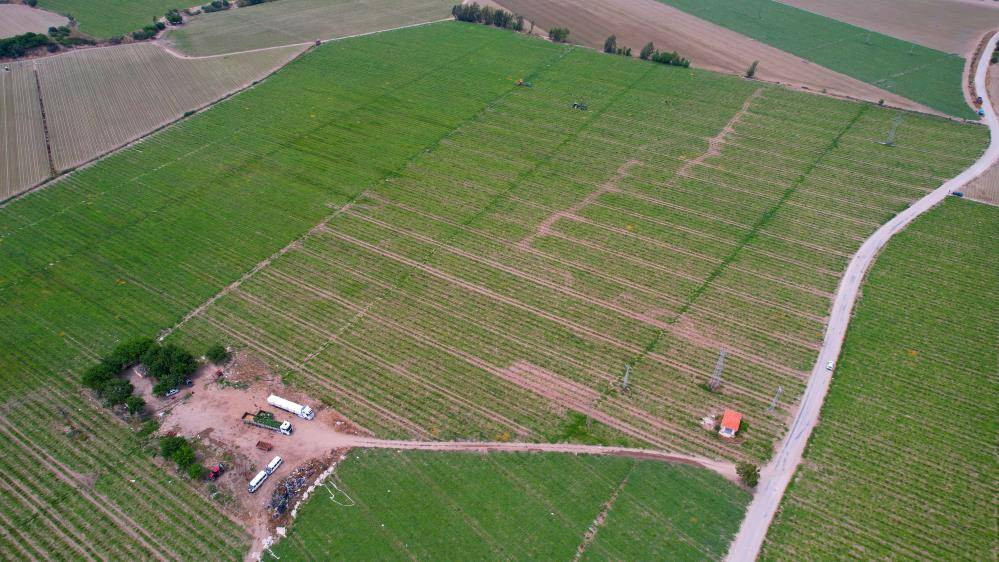 İlk karpuzlar yola çıktı. Fiyatlar düşecek mi? - Resim: 9