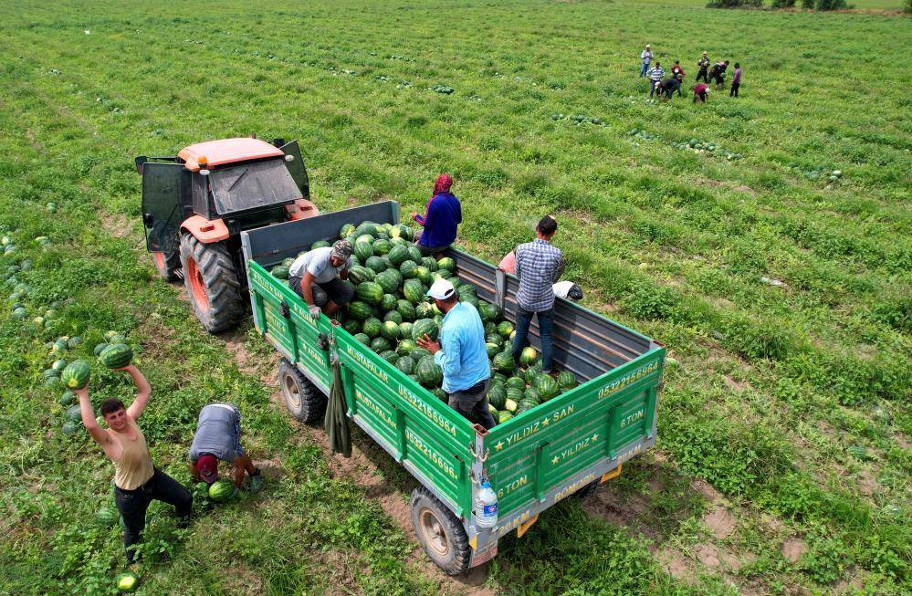 İlk karpuzlar yola çıktı. Fiyatlar düşecek mi? - Resim: 10