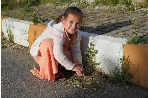 Gökten gizemli cisimler yağdı. Vatandaşlar tek tek elleriyle topladı - Resim: 7
