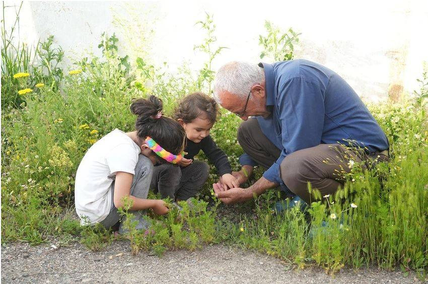 Gökten gizemli cisimler yağdı. Vatandaşlar tek tek elleriyle topladı - Resim: 2