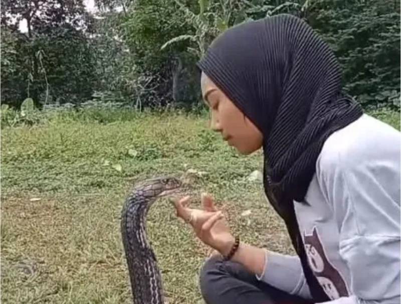 Kobra yılanını öpücüklere boğdu: Görenler şaşırıp kaldı - Resim: 3