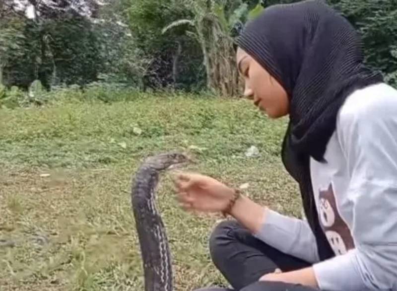 Kobra yılanını öpücüklere boğdu: Görenler şaşırıp kaldı - Resim: 1