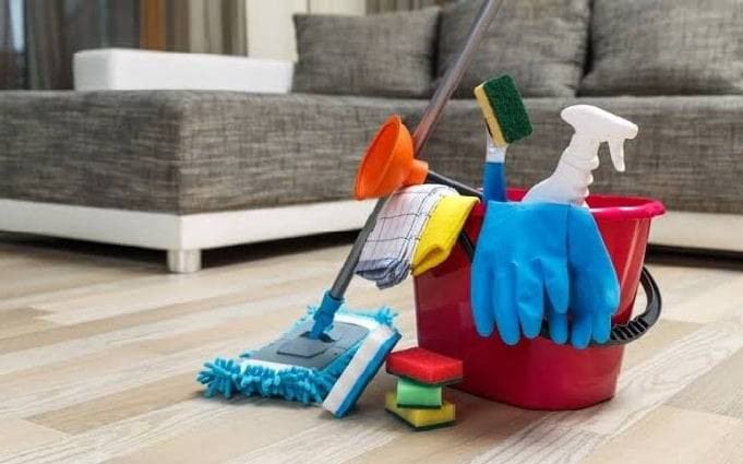 Temizliğin 4 doğal yolu nedir? - Resim: 13