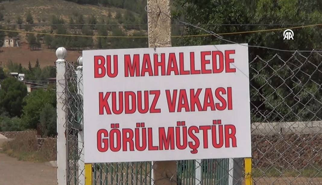 Kuduz alarmı. İki mahalle karantinada - Resim: 6