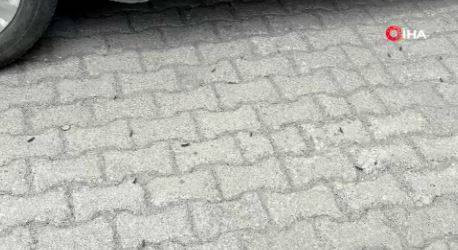 Şehir merkezini istila etti. Bitlis’te endişelendiren görüntüler - Resim: 4