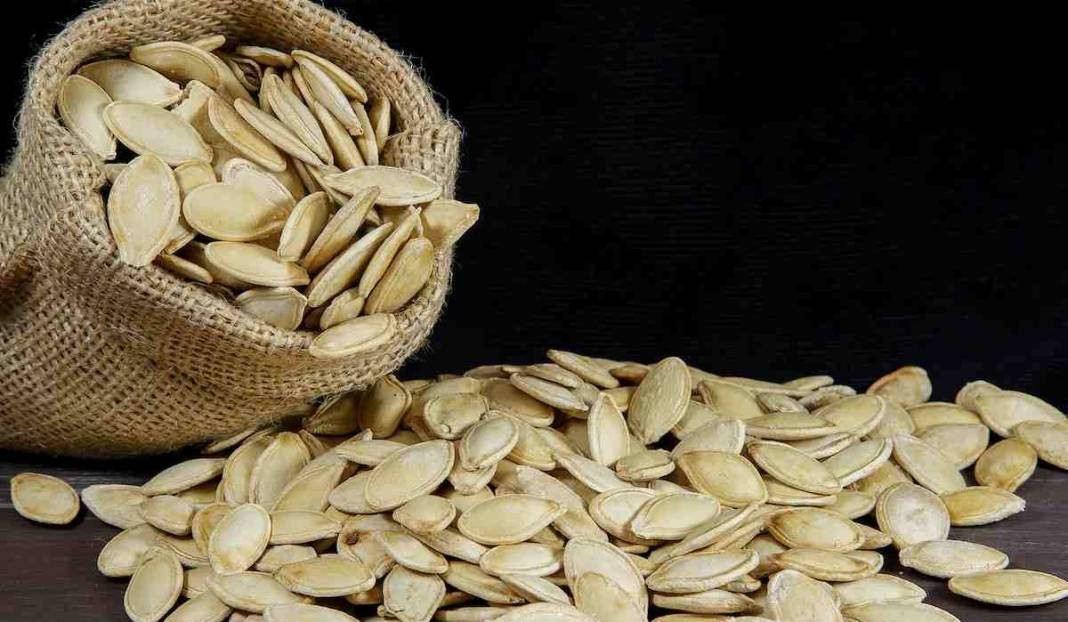 Kabak çekirdeğinin kabuğu şifa deposu çıktı. O problemi kökten bitiriyor - Resim: 3