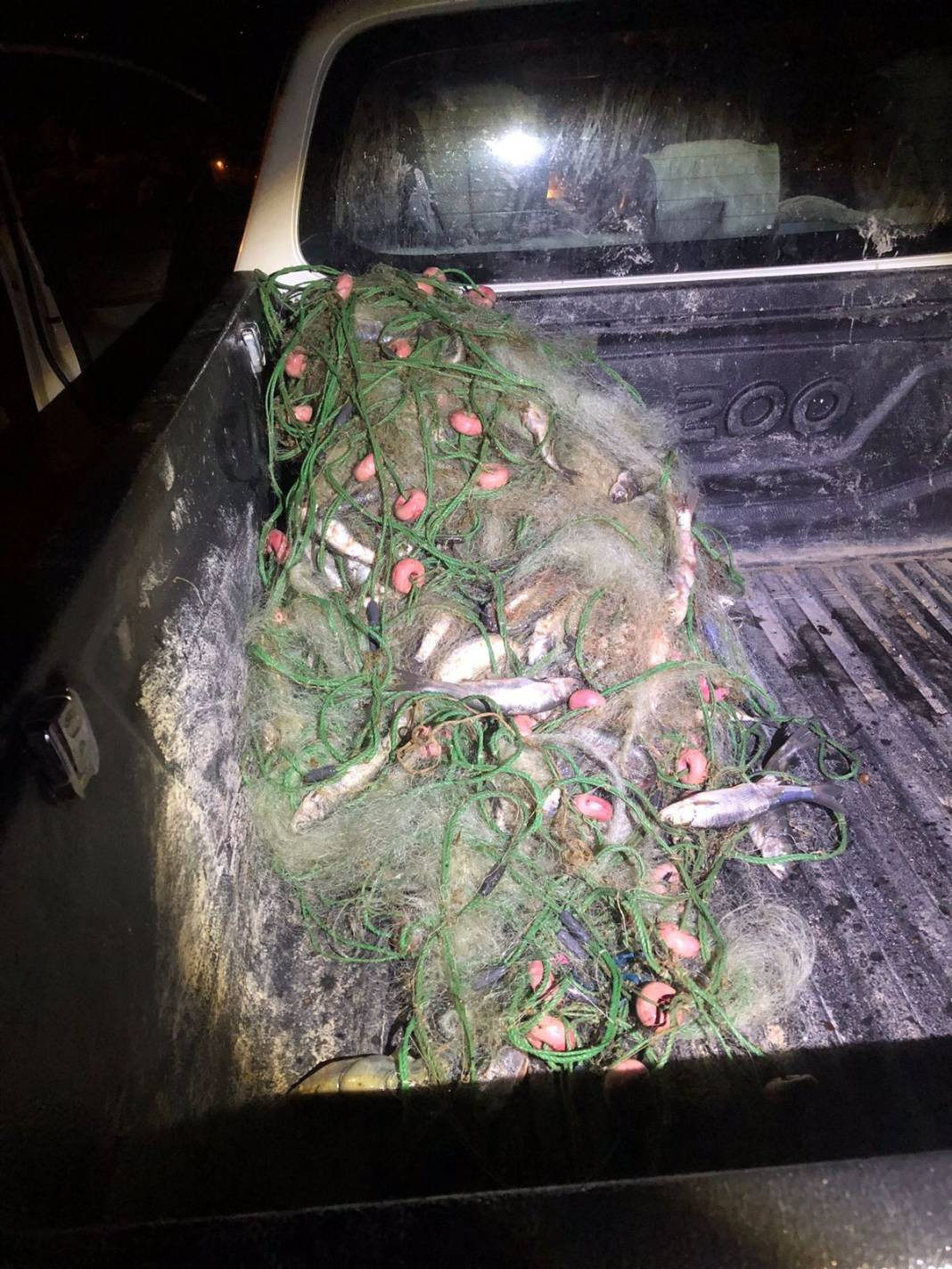 Hedef kaçak avcılar. Hepsine el konuldu - Resim: 10