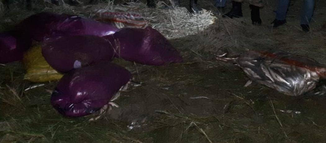 Hedef kaçak avcılar. Hepsine el konuldu - Resim: 11