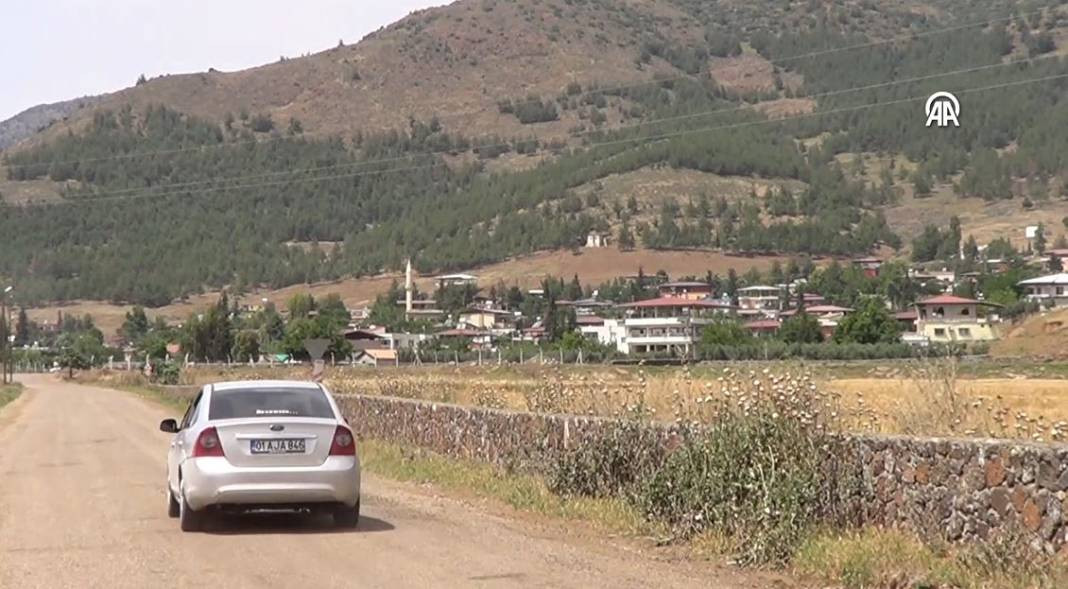 Kuduz alarmı. İki mahalle karantinada - Resim: 2