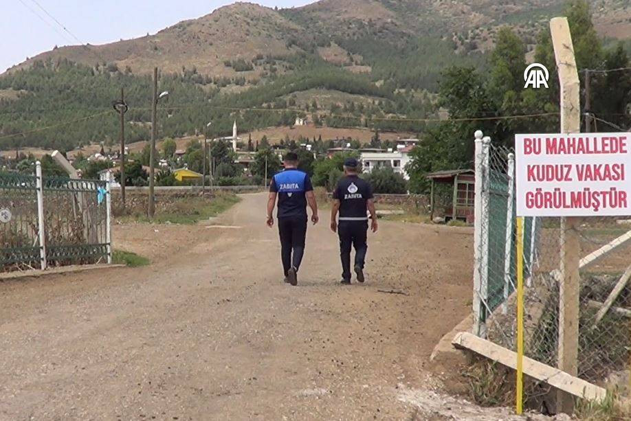 Kuduz alarmı. İki mahalle karantinada - Resim: 1