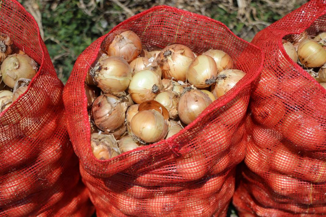 Hasadı başladı fiyatlar tepetaklak oldu. Tarlada 5 lira - Resim: 8