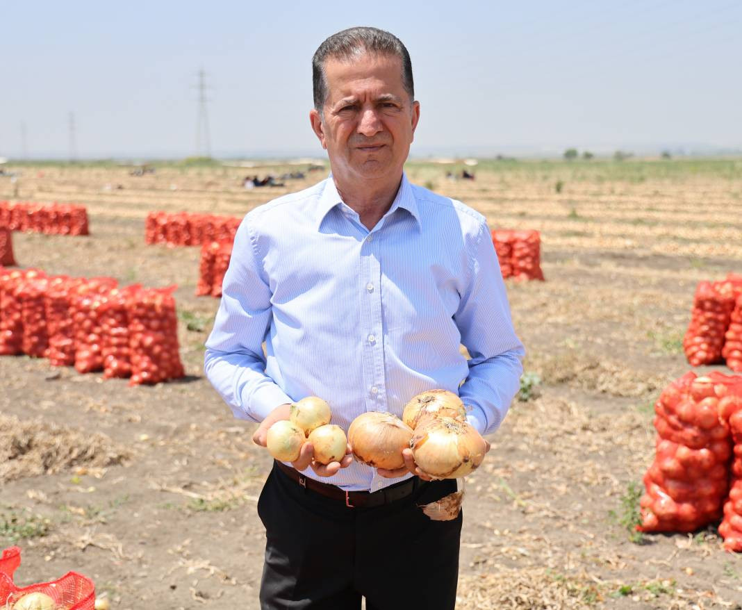 Hasadı başladı fiyatlar tepetaklak oldu. Tarlada 5 lira - Resim: 4