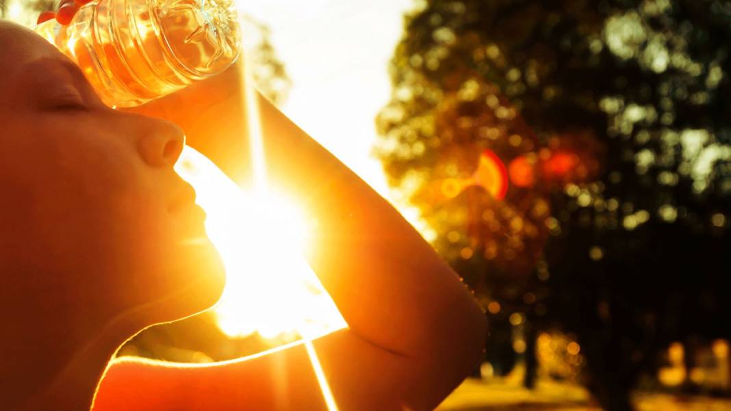 Uzmanlardan yaz ayları için uyarı - Resim: 3