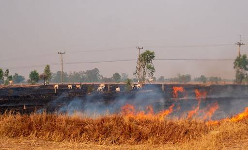 Adana'da yasaklandı. Valilik duyurdu - Resim: 6