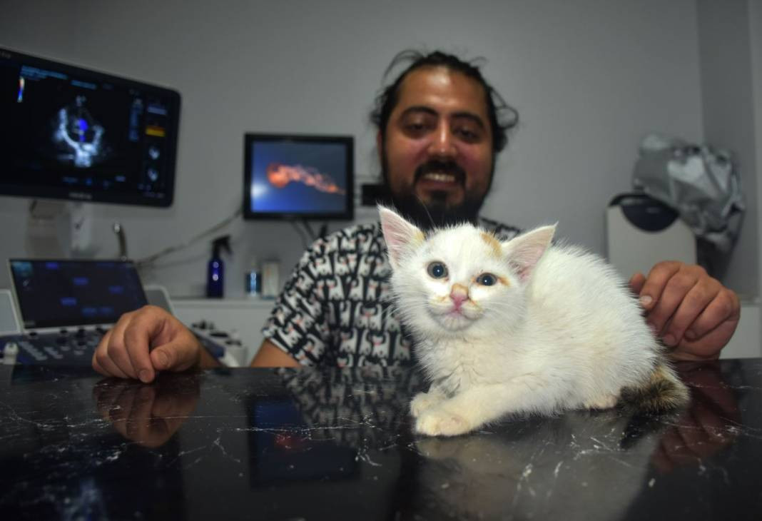 Yavru kediyi mucize mücadeleyle kurtardı. Bu bir yaşasın iyi insanlar haberidir - Resim: 1