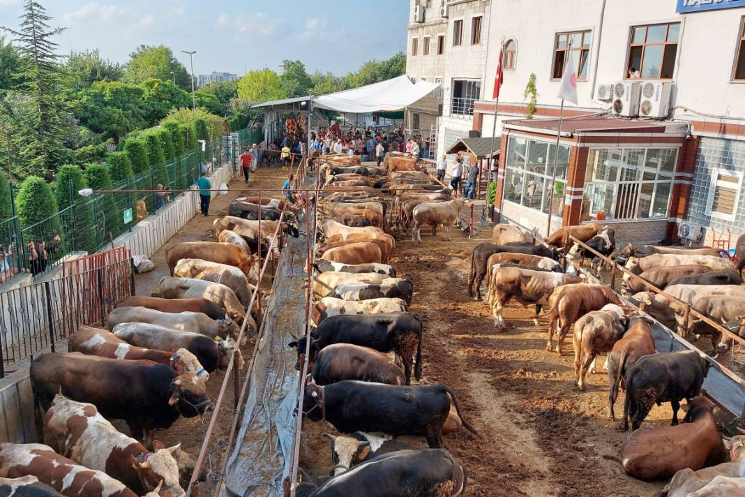 Kurban vekaleti nasıl verilir ve nasıl alınır? Ücreti belli oldu - Resim: 7