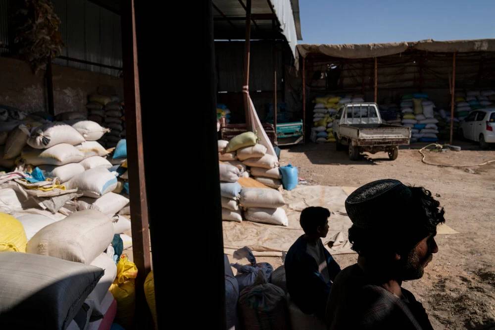 Taliban'ın haşhaş yasağı Afganları ölüme sürüklüyor - Resim: 11