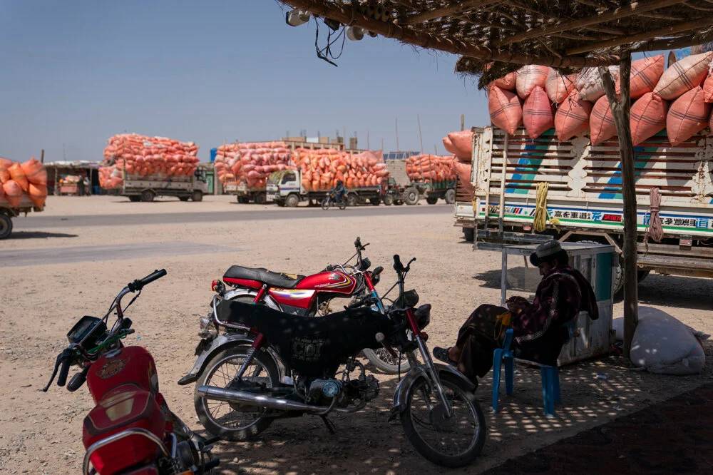 Taliban'ın haşhaş yasağı Afganları ölüme sürüklüyor - Resim: 12