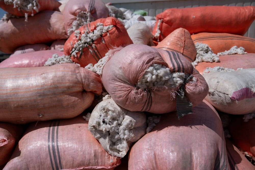 Taliban'ın haşhaş yasağı Afganları ölüme sürüklüyor - Resim: 13