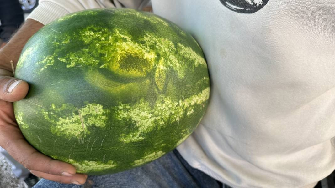 Bir il bu karpuzu konuşuyor. Bin TL verdiler satmadı - Resim: 4