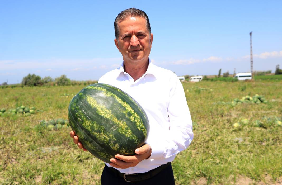 Karpuza Euro 2024 dopingi! Gelen haber yüzleri güldürdü - Resim: 5