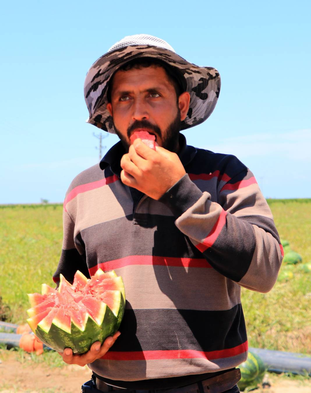 Karpuza Euro 2024 dopingi! Gelen haber yüzleri güldürdü - Resim: 7