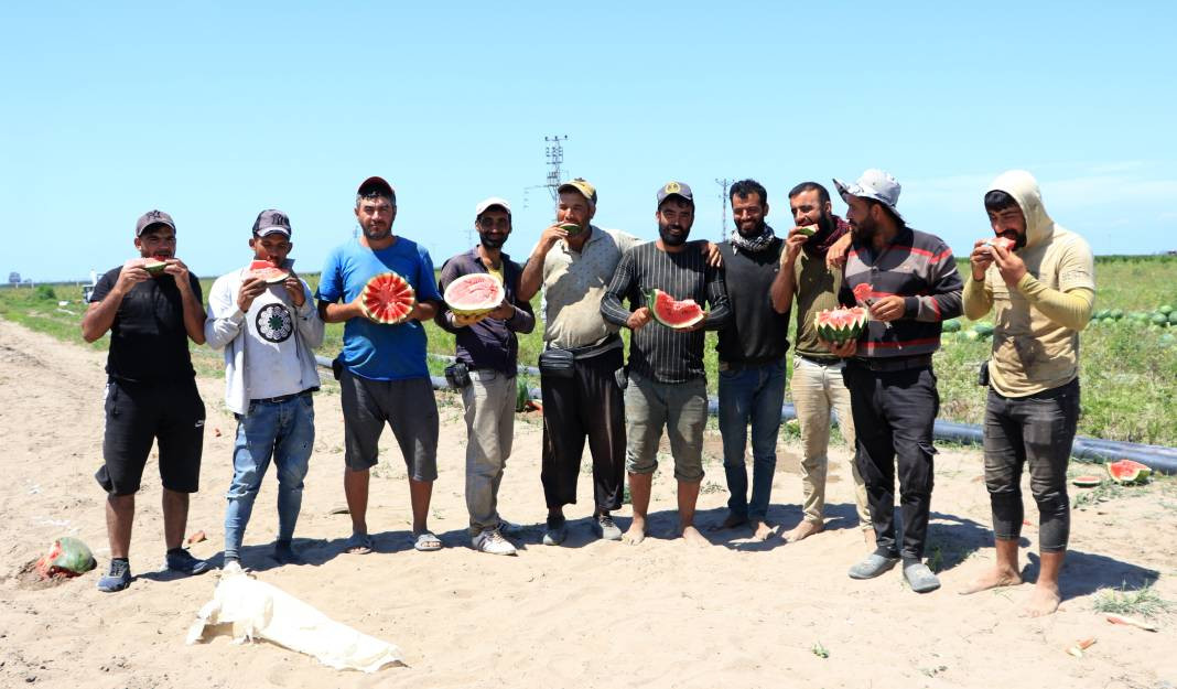 Karpuza Euro 2024 dopingi! Gelen haber yüzleri güldürdü - Resim: 6