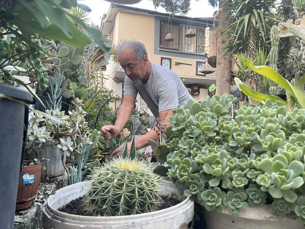 Komşusunda görüp, tutkuyla başladı! 60 çeşidi görmek isteyen evine akın ediyor - Resim: 2