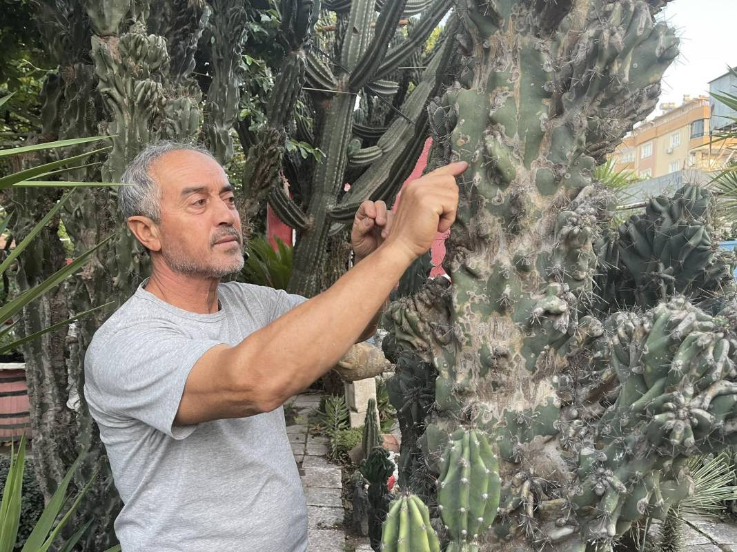 Komşusunda görüp, tutkuyla başladı! 60 çeşidi görmek isteyen evine akın ediyor - Resim: 5