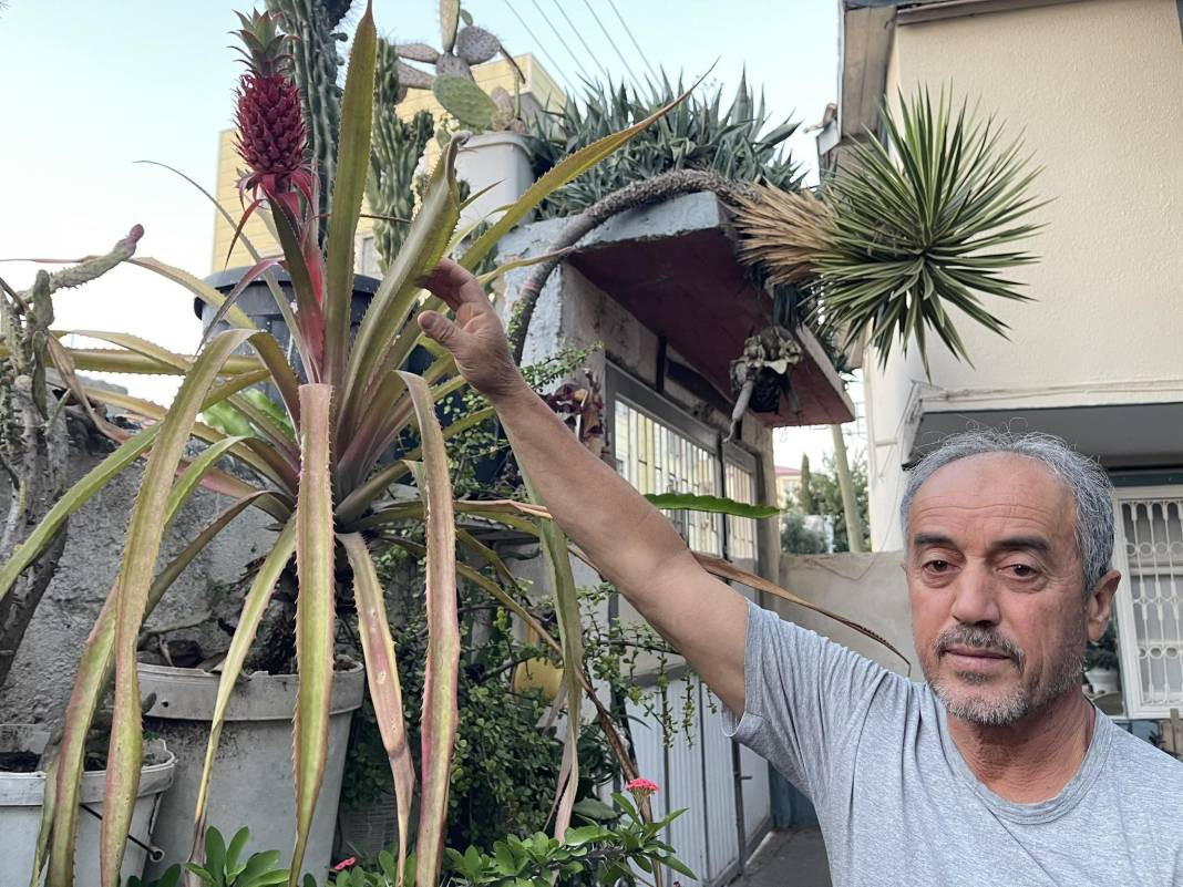 Komşusunda görüp, tutkuyla başladı! 60 çeşidi görmek isteyen evine akın ediyor - Resim: 7