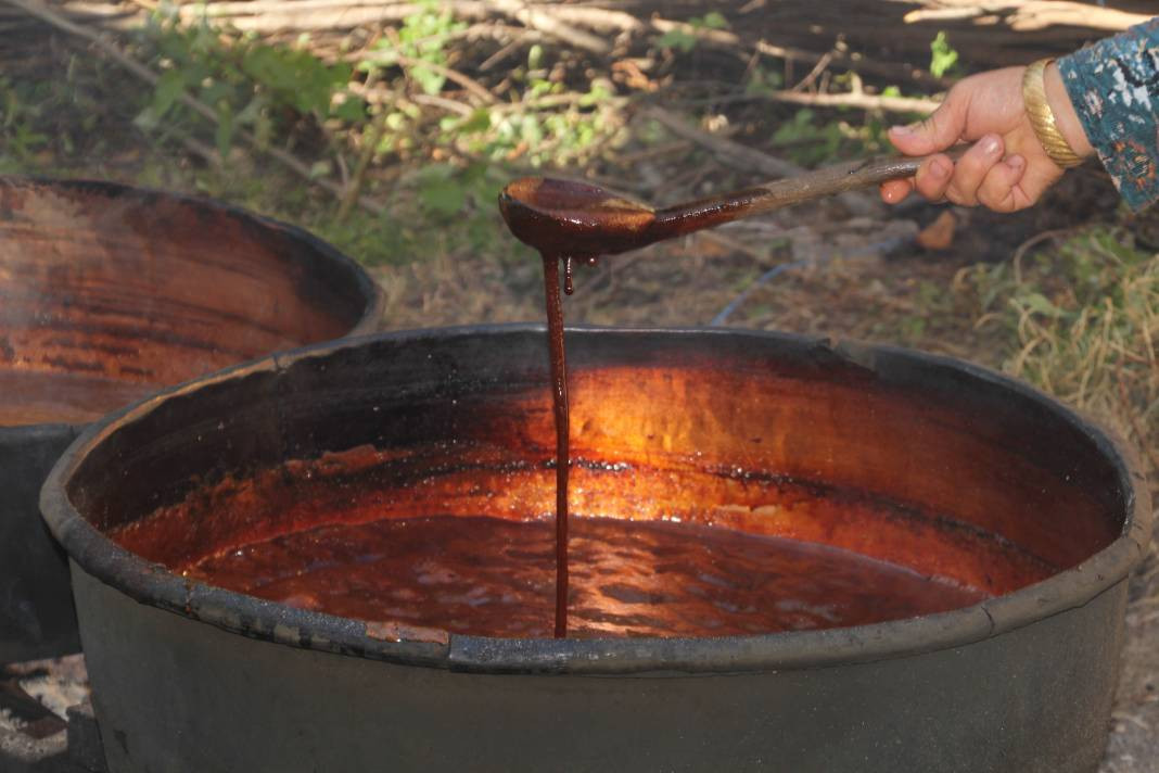 Sabahın ilk ışıklarıyla kaynatıyorlar kilosu 1000 TL! Kendine has kokusu var - Resim: 2