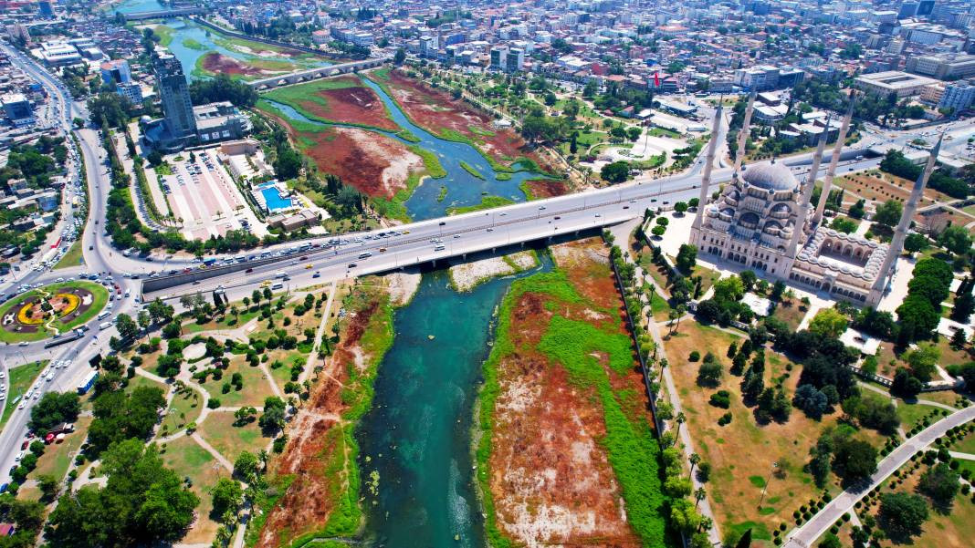 Seyhan Nehri'ndeki kötü koku kenti kapladı! Yosunlar insan boyunu geçti... - Resim: 1