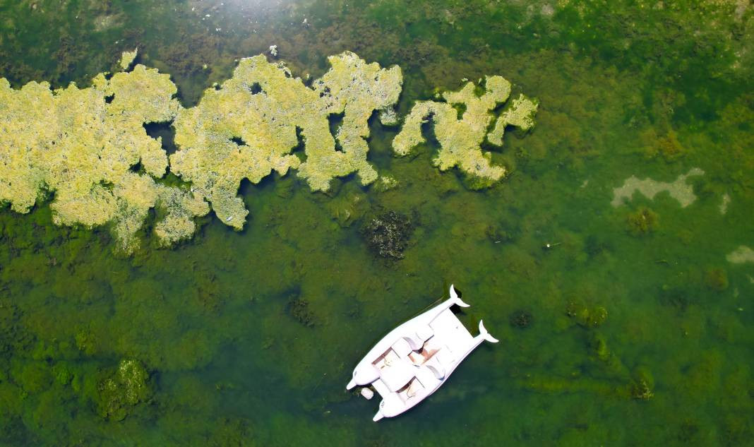 Seyhan Nehri'ndeki kötü koku kenti kapladı! Yosunlar insan boyunu geçti... - Resim: 7