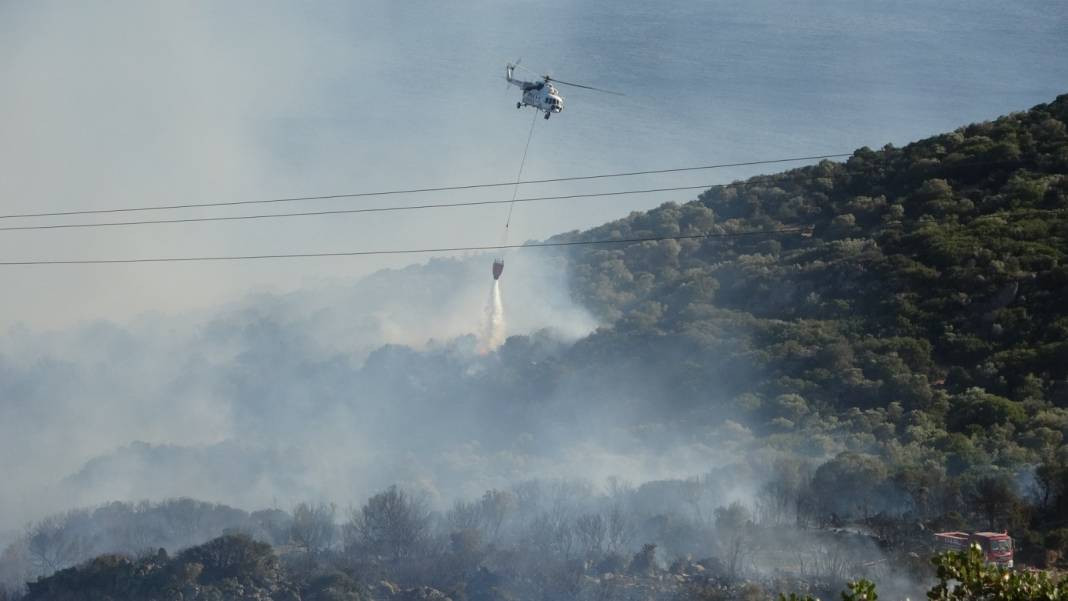Assos Antik Kenti'nde yangın. ‘Yeşil alanların yüzde 90’ı tahrip oldu’ - Resim: 12