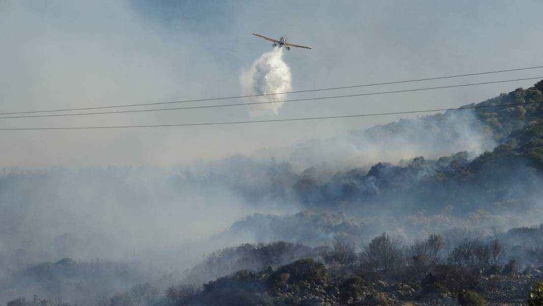 Assos Antik Kenti'nde yangın. ‘Yeşil alanların yüzde 90’ı tahrip oldu’ - Resim: 13