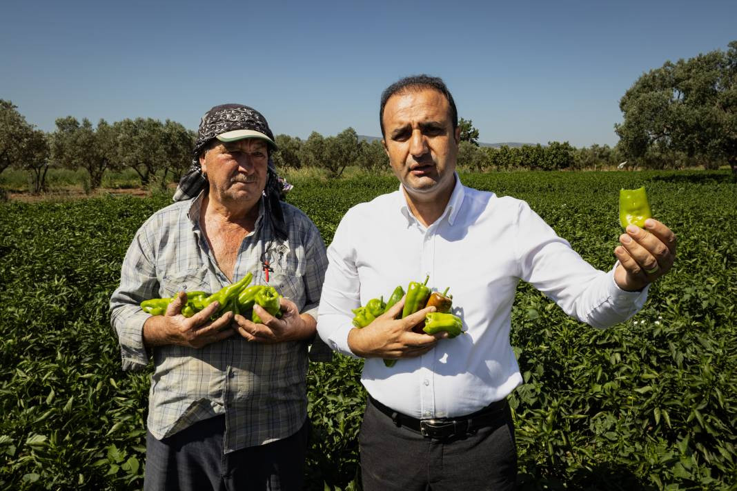 İtalyanlar görünce hemen talip oldu! Urfa isotunu tahtından ediyor - Resim: 5