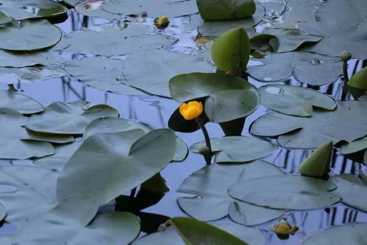 Cezasını duyunca yanından geçemeyeceksiniz. Tam 387 bin lira - Resim: 11