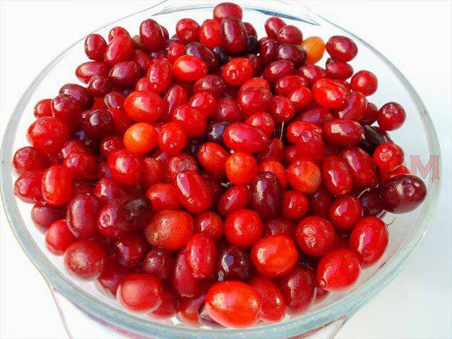 Kalbini seven bol bol yesin. Doğal kan sulandırıcı - Resim: 18