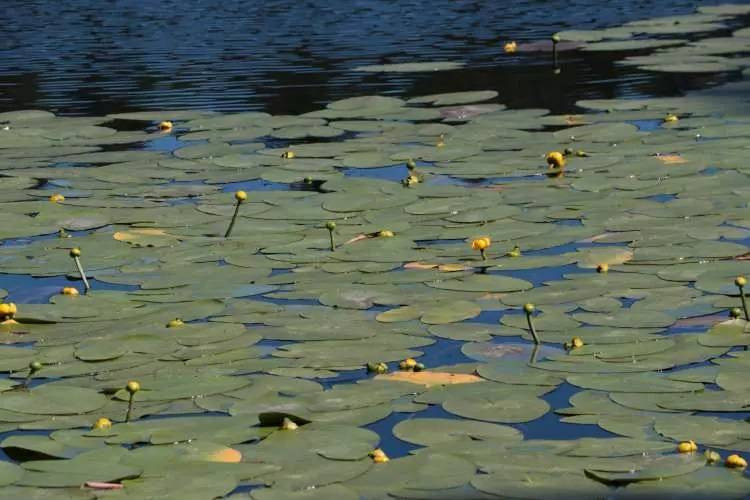 Cezasını duyunca yanından geçemeyeceksiniz. Tam 387 bin lira - Resim: 7